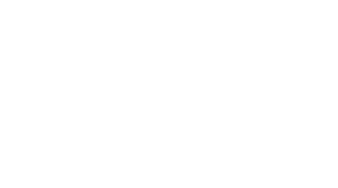 Global Server Network